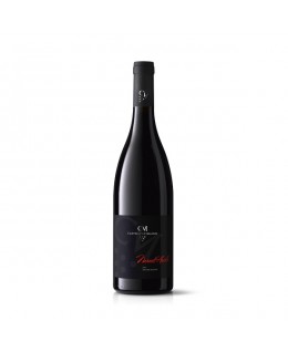 castellucci miano nero d'avola doc sicilia