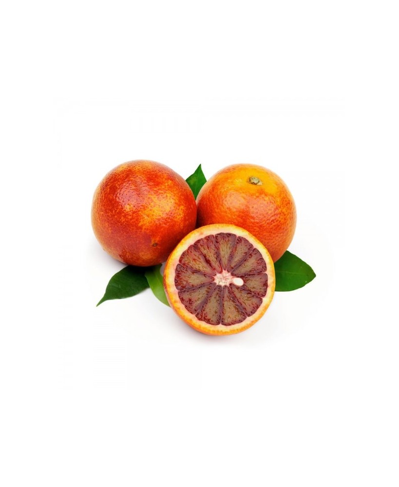 arance moro rosso zecchino