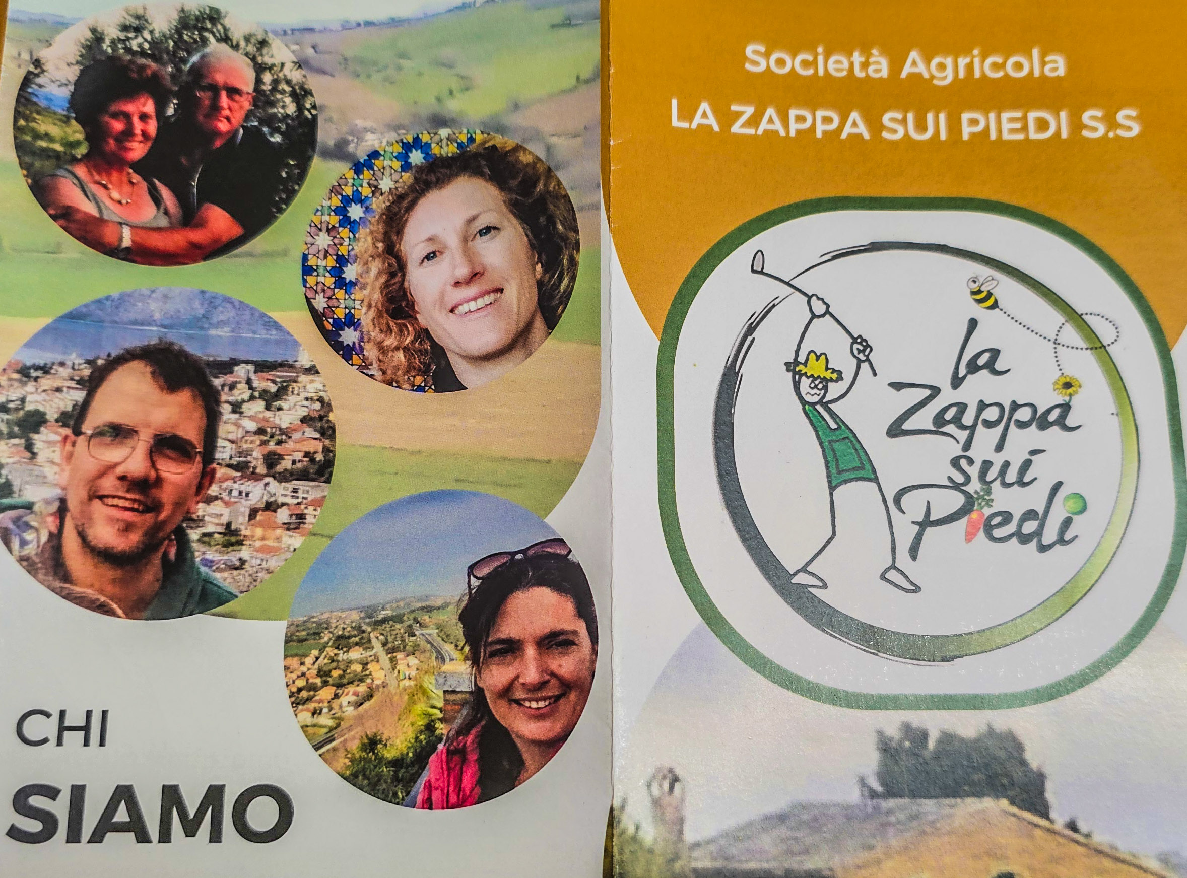 azienda zappa con logo